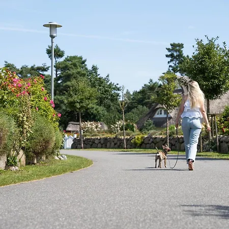 Feriehus Seeadler 9 Fuhlendorf (Mecklenburg-Vorpommern)