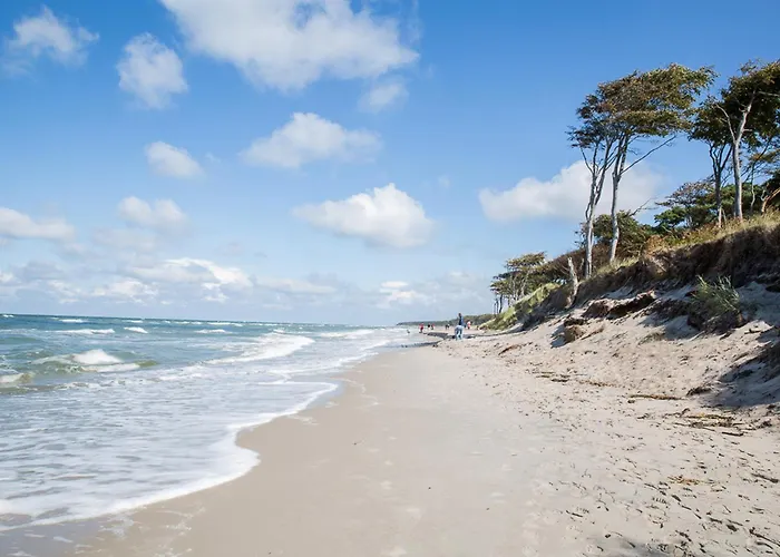 Dom wakacyjny Seeadler 9