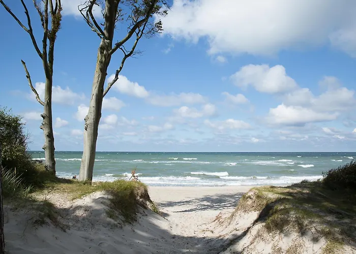 Seeadler 9 Dom wakacyjny Fuhlendorf (Mecklenburg-Vorpommern)