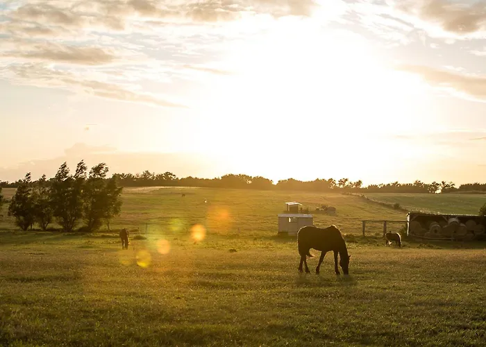 Dom wakacyjny Seeadler 9 *