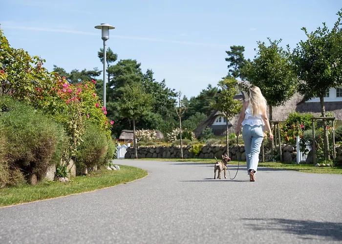 Dom wakacyjny Seeadler 9 Fuhlendorf (Mecklenburg-Vorpommern)